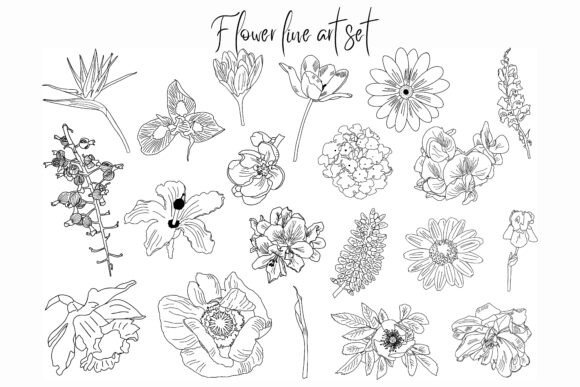Flower Outline Vector Illustration Set