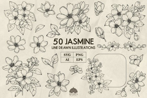 Jasmine Line Art for Graphics & Illustrations