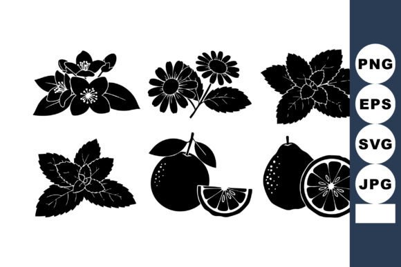 Review: Black Silhouette Citrus Vector Set for Embroidery