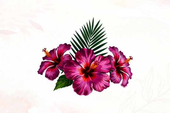 Tropical Hibiscus Flowers Art Graphics