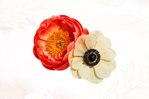 Vibrant Peony Anemone Flowers Duo: Graphics with a Hand-Painted Touch